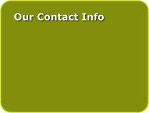 Our Contact Info